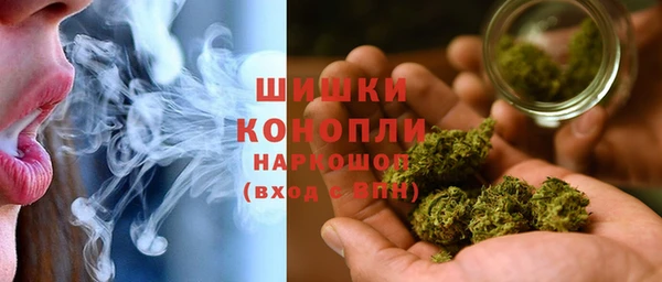 хмурый Верея