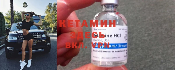 хмурый Верея