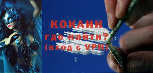 хмурый Верея