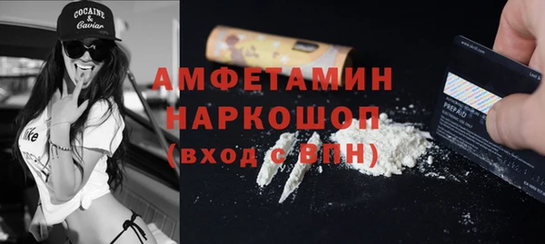 хмурый Верея