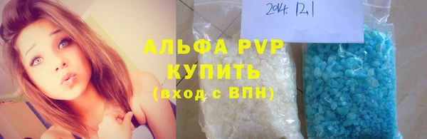 хмурый Верея