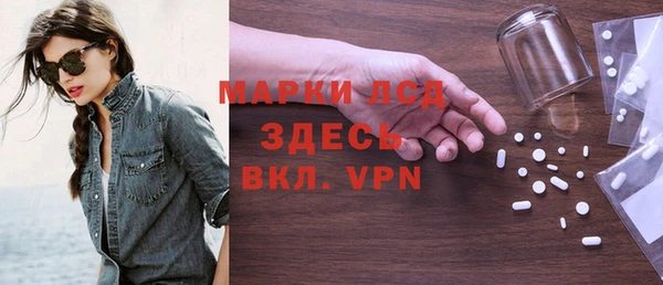 хмурый Верея