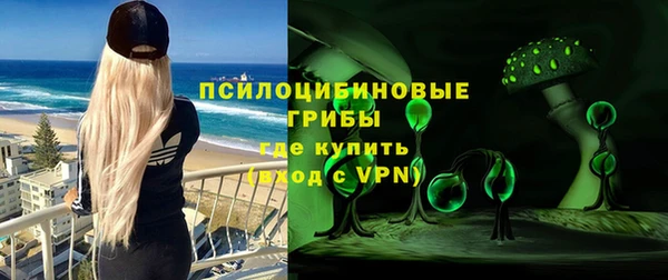 хмурый Верея