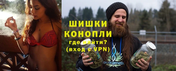 хмурый Верея